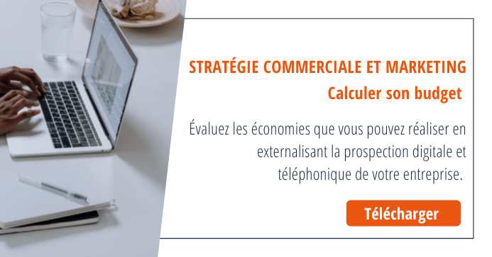 calclul-budget-externaliser-prospection- Alliance Connexion