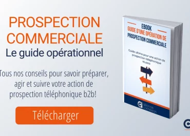 ebook-Guide-ultime-de-la-prospection-b2b et telemarketing Alliance connexion