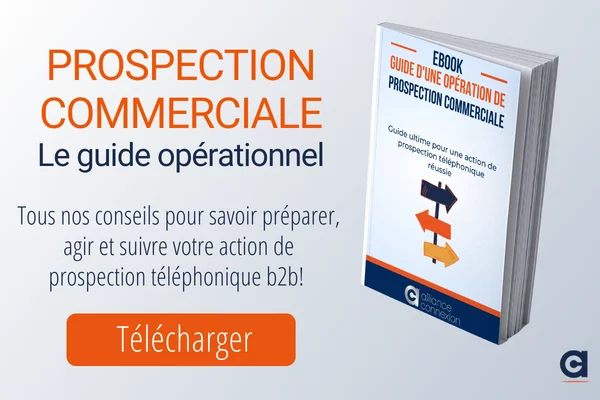 CTA Ebook Guide ultime de la prospection commerciale B2b